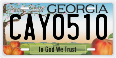 GA license plate CAY0510
