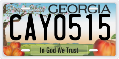 GA license plate CAY0515