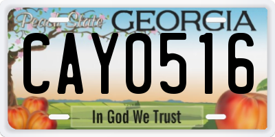 GA license plate CAY0516