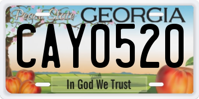 GA license plate CAY0520