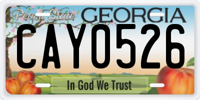 GA license plate CAY0526