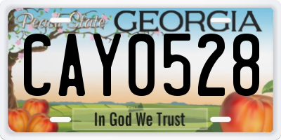 GA license plate CAY0528