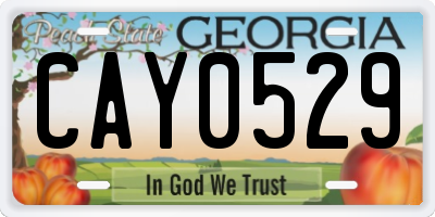GA license plate CAY0529