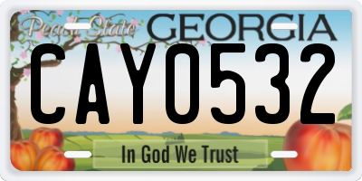 GA license plate CAY0532