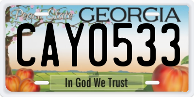 GA license plate CAY0533