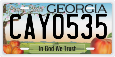 GA license plate CAY0535