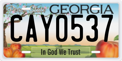 GA license plate CAY0537