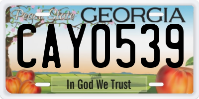GA license plate CAY0539