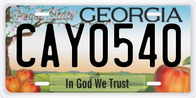 GA license plate CAY0540