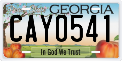 GA license plate CAY0541