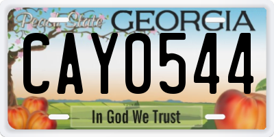 GA license plate CAY0544