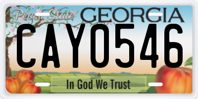 GA license plate CAY0546