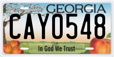 GA license plate CAY0548