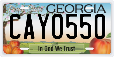 GA license plate CAY0550