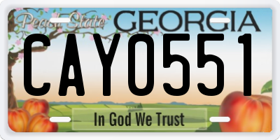 GA license plate CAY0551