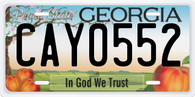 GA license plate CAY0552