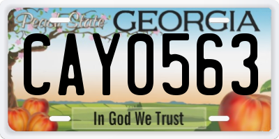GA license plate CAY0563