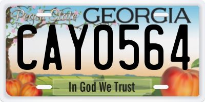 GA license plate CAY0564