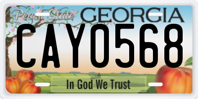 GA license plate CAY0568