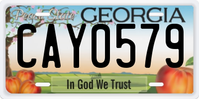 GA license plate CAY0579