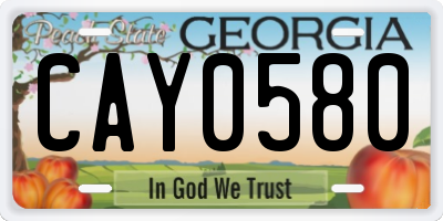GA license plate CAY0580