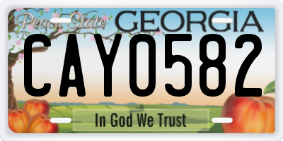 GA license plate CAY0582