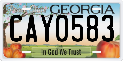 GA license plate CAY0583