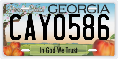 GA license plate CAY0586