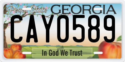 GA license plate CAY0589