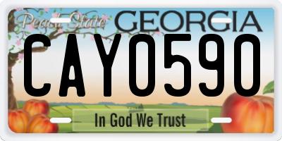 GA license plate CAY0590