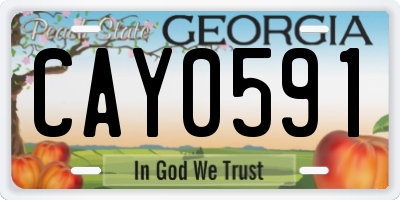 GA license plate CAY0591