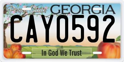 GA license plate CAY0592