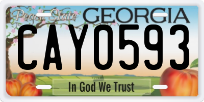 GA license plate CAY0593