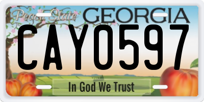 GA license plate CAY0597