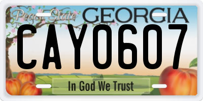 GA license plate CAY0607