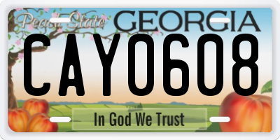 GA license plate CAY0608