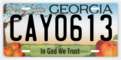 GA license plate CAY0613