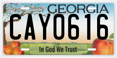 GA license plate CAY0616