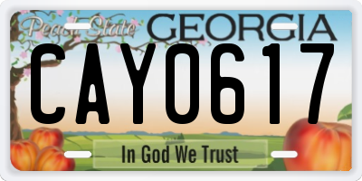 GA license plate CAY0617