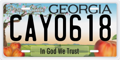 GA license plate CAY0618