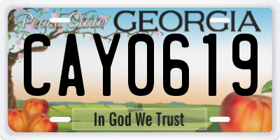 GA license plate CAY0619