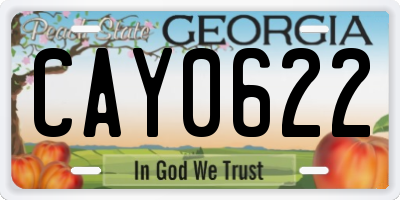 GA license plate CAY0622