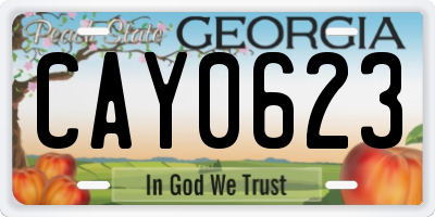 GA license plate CAY0623