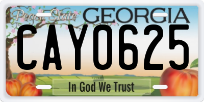 GA license plate CAY0625