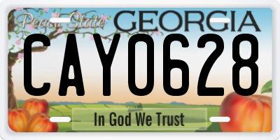 GA license plate CAY0628