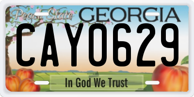 GA license plate CAY0629
