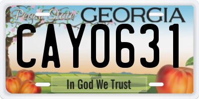 GA license plate CAY0631