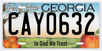 GA license plate CAY0632