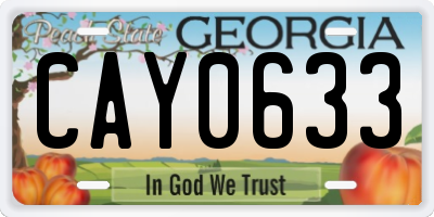 GA license plate CAY0633