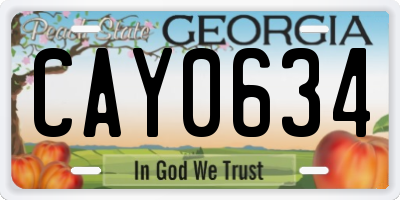 GA license plate CAY0634